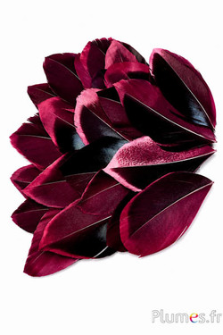 Blütenblätter aus Federn - 5-8 x 3-4 cm - bordeaux-schwarz